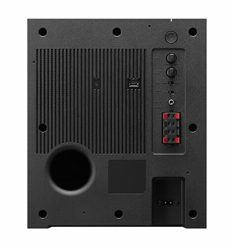 Back panel of a speaker with ports and controls